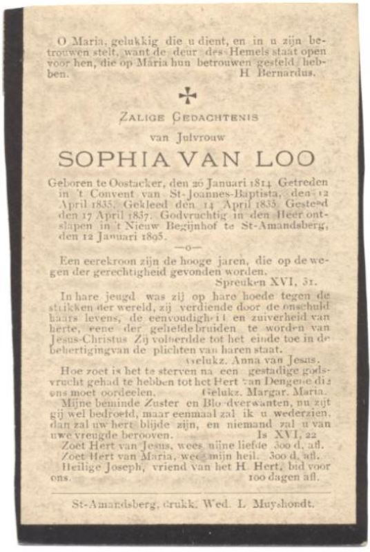 Sophia Van Loo