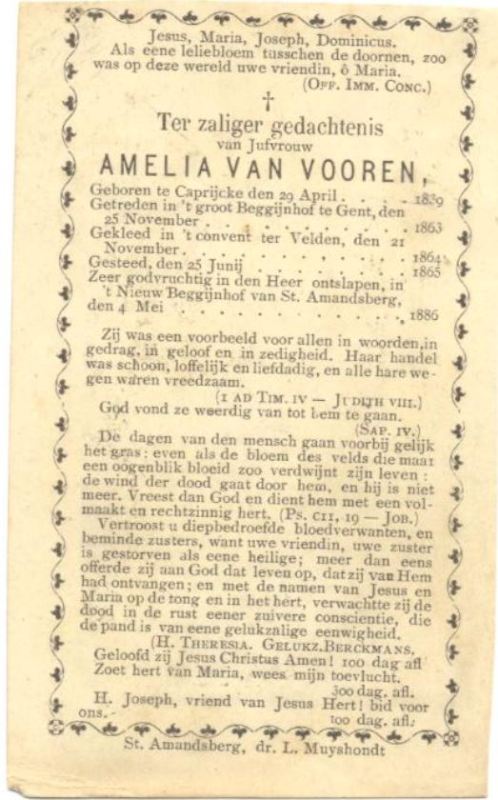 Amelia Van Vooren