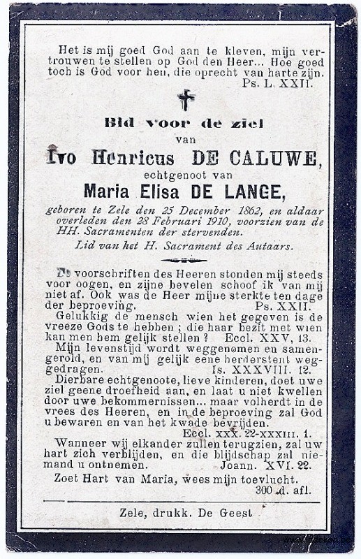 Ivo Henricus De Caluwe
