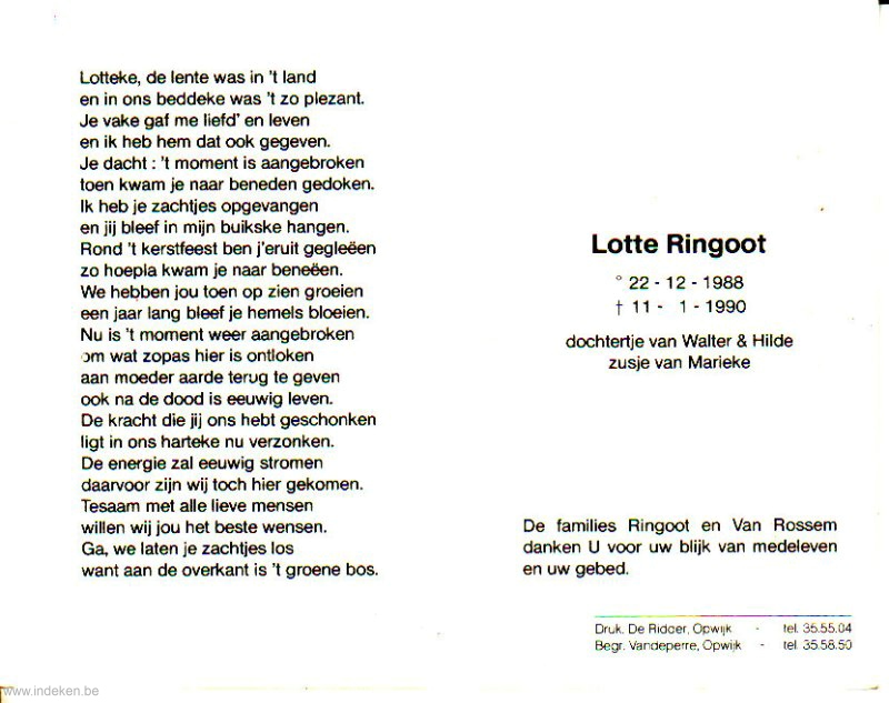 Lotte Ringoot