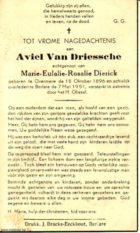 Aviel Van Driessche