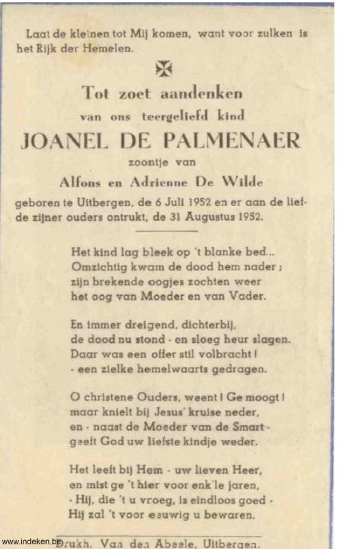 Joanel De Palmenaer