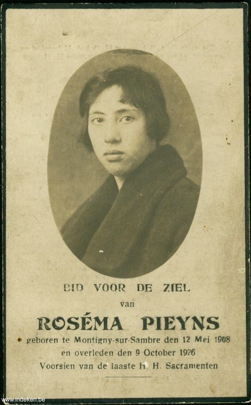 Roséma Pieyns